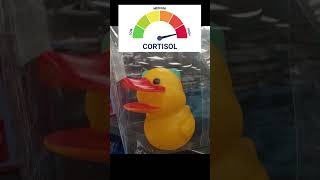 #shorts #lowcortisol #chill #healing #chillmusic #antistress #fypシ #viral