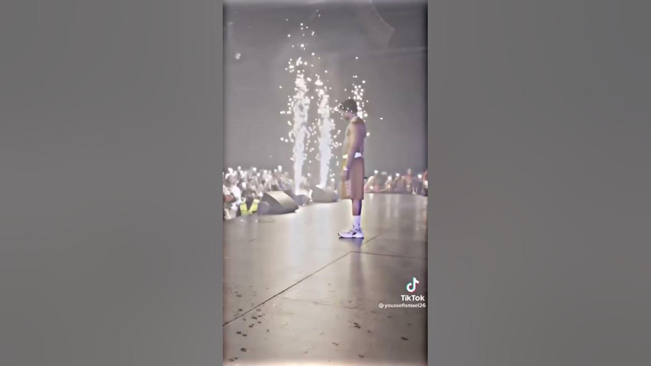 Rema   Calm Down Live Performance At Festival Hall Melbourne Australia #rema #moment #afrobeat
