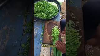 ලොකුම ලොකු ප්‍රයිඩ් රයිස් එකක් හදමුද | COKING FRIDE RICE ? coking sort viral fridrice gewaththa