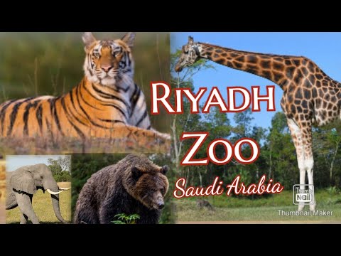     حديقة حيوانات الرياض      