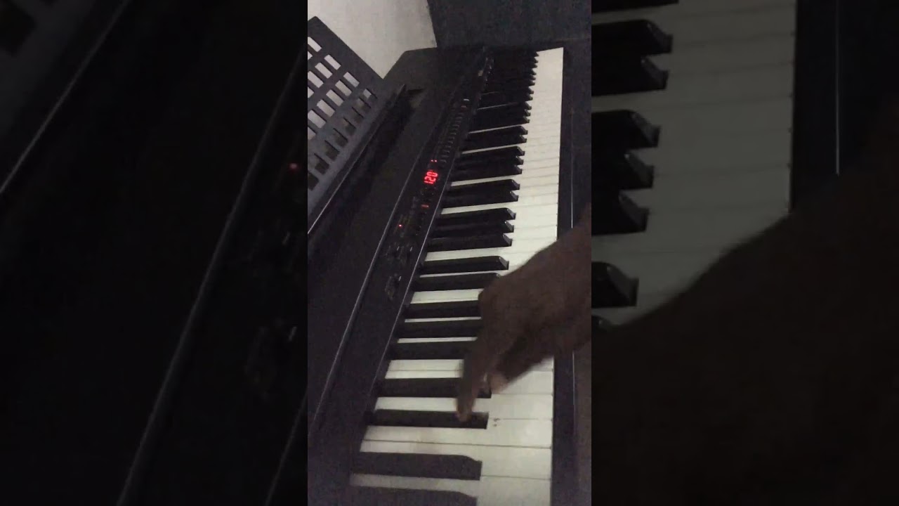 Yamaha YFP 70 76 Key Electric Keyboard Piano YouTube Yamaha YFP 70 76 Key Electric Keyboard Piano YouTube