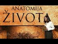 Ginekologija, pluća, jetra i žuč | Epizoda 12 | Anatomija života | Hayat TV