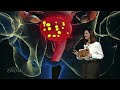 Ginekologija, pluća, jetra i žuč | Epizoda 12 | Anatomija života | Hayat TV