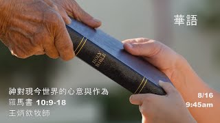EFCLA 洛福教會 2020 0816 王炳欽牧師【神對現今世界的心意與作為】主日 華語