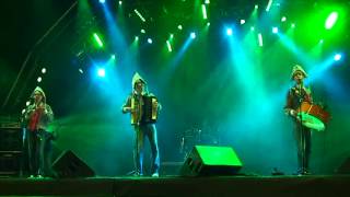 Dvd Completo - Flor De Mandacaru 10 Anos