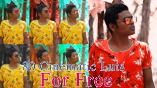 70+ Professional Cinematic 3D Luts For Outdoor Editing Use In Adobe Photoshop and Adobe Premiere Pro screenshot 2