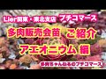 ￼Lier関東・東北支店プチコマース販売会苗ご紹介🌱アエオニウム 編2026年5月12日