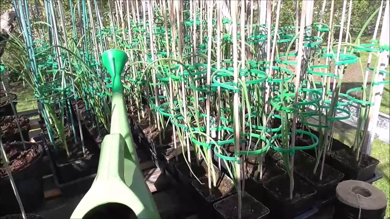 Saturday 25 March 2017