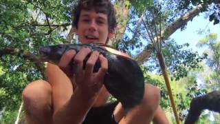 SPEARFISHING CATFISH! Catch n Cook   Cooked in the Coals!