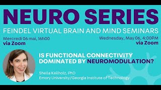 Feindel Virtual Brain and Mind Seminar at The Neuro presents Shella Keilholz