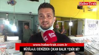 Müsilajlı denizden çıkan balık yenir mi?