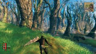 Me Having A Good time with few Draugr on Valheim