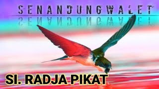 SUARA INAP WALET RADJA PIKAT