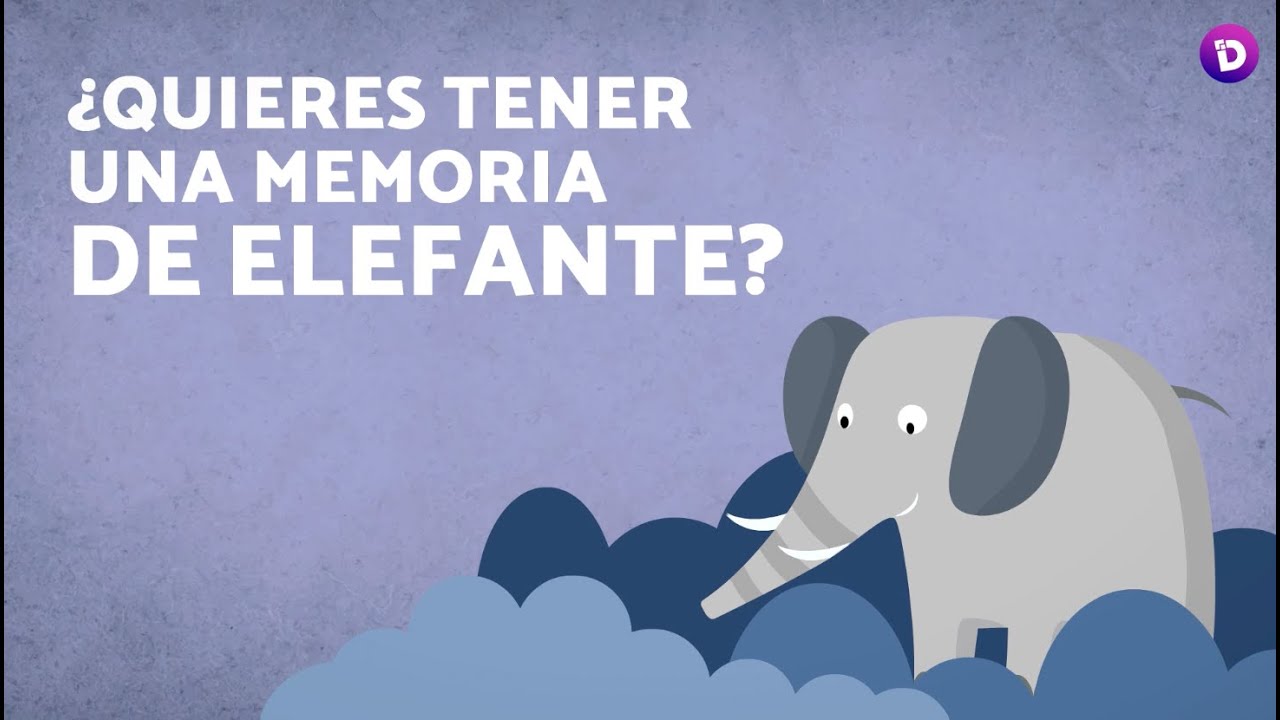 🌟 ¿Quieres tener una memoria de elefante? 🐘💡 - YouTube