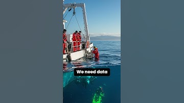 Data is power. 📉🌊