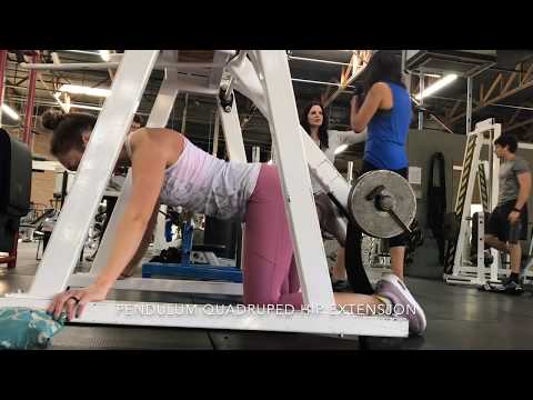 Pendulum quadruped hip extension vs kickback