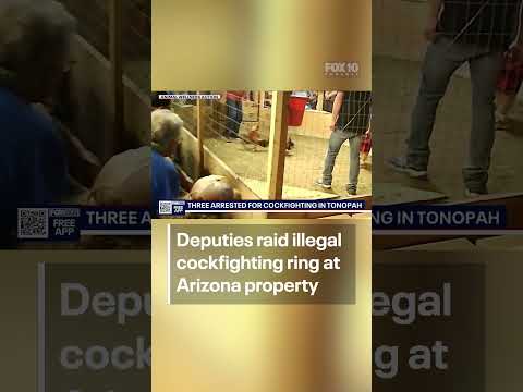 Phoenix Arizona County Jailfav Page