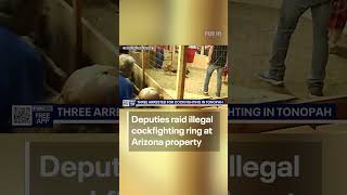 Cockfighting ring busted at Arizona property, 3 arrested so far | FOX 10 Phoenix