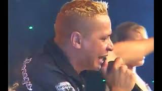 DVD Cintura de Mola DVD Vol 3 ao VIVO   Música Mulher tú qué o quê!