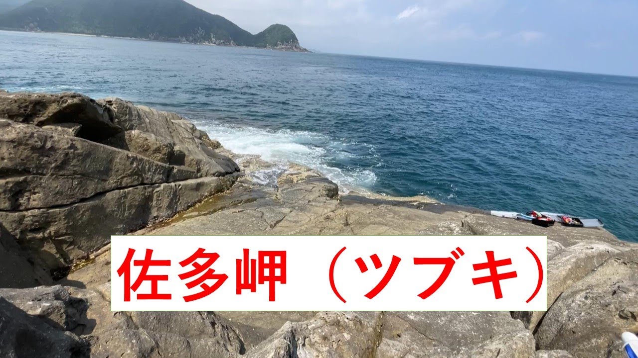 ７月９日 佐多岬（東側）　ビロウ（ツブキ）　＃佐多岬釣り vo.5