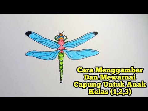 Video: Cara Menggambar Capung