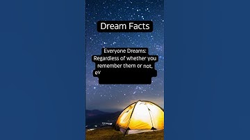 Dreamscape Chronicles: Unveiling the Mysteries of Dreams