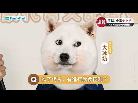 【全家犬犬の日】柴犬七仙女出席犬家記者會啦！