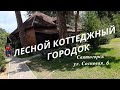 Где остановиться в Святогорске. ЛЕСНОЙ КОТТЕДЖНЫЙ ГОРОДОК