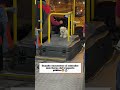 Perosnas asi merecen que le vaya bien en todo💗#dog #mascotas #amor #padres #transportepublico