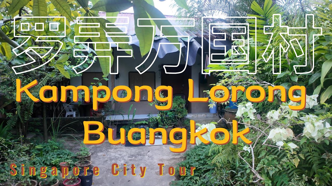 Inside Singapore's Last Surviving Village – Kampong Lorong Buangkok! | Hidden Gem in a Modern City