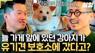 [#고독한훈련사] 유기견 '뽀삐'에서 우리 가족 '벤지'가 되기까지.. ♡ 모찌 & 벤지 덕분에 행복이 2배, 기쁨도 2배가 된 모벤져스 가족