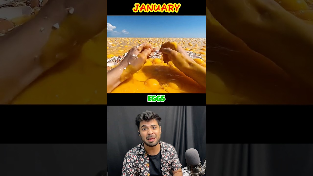 Your Birth Month Your Ocean🏊