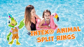 Intex® Animal Split Rings