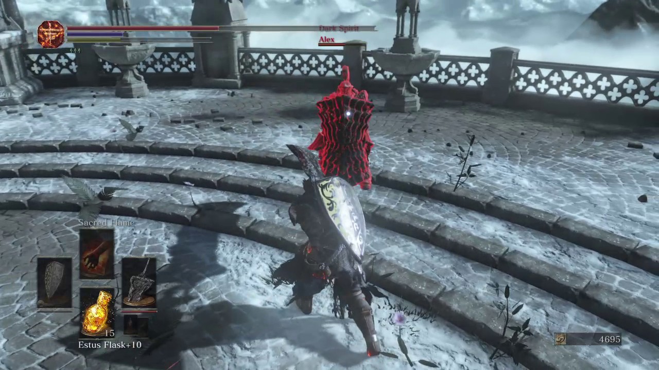 Pvp against  Havel shield build