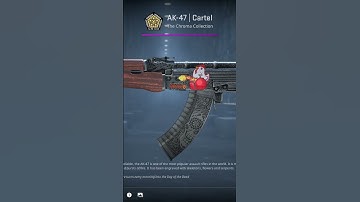 Arrived. Game On 🎵Music🎵 destrorabbit - Hopenesshope #csgo #cs2 #gaming #cs2funny #cs2skins #кс2