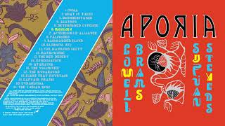 Sufjan Stevens, Lowell Brams - Misology [Official Audio]