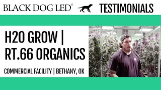 Black Dog LED Commercial Customers Testimonials - H2O Grow | RT.66 Organics