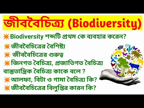 ভিডিও: কিভাবে বিলুপ্তি জীববৈচিত্র্যকে প্রভাবিত করে?