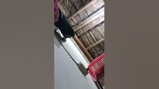 JAJAN P$K Sarkem jogja bebas milih dulu cewek nya 