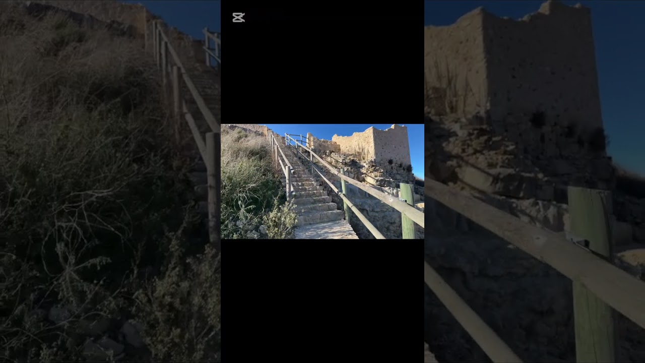 16 февраля 2026 г.