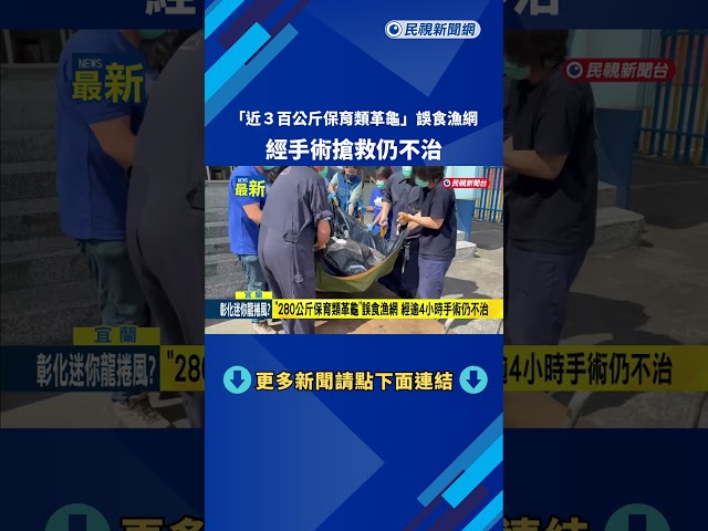 "280公斤保育類革龜"誤食漁網 經手術移除仍不治－民視新聞