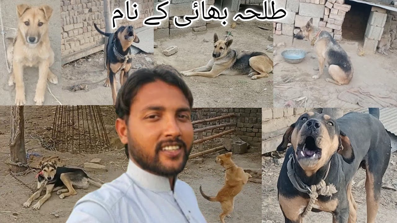  This video is made for talha bhai he is a youtuber . - YouTube Illustration 