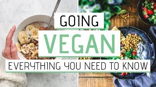 VEGANISM FOR BEGINNERS » How to go vegan // Complete guide screenshot 5