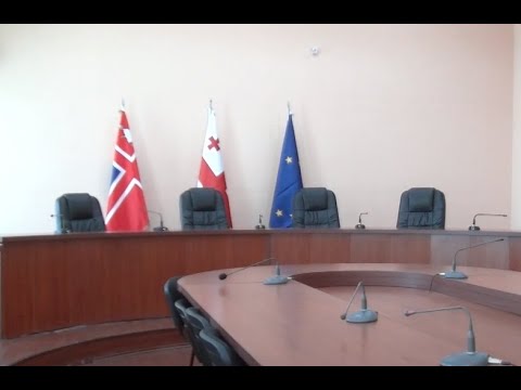 ფრაქციები გორის საკრებულოში