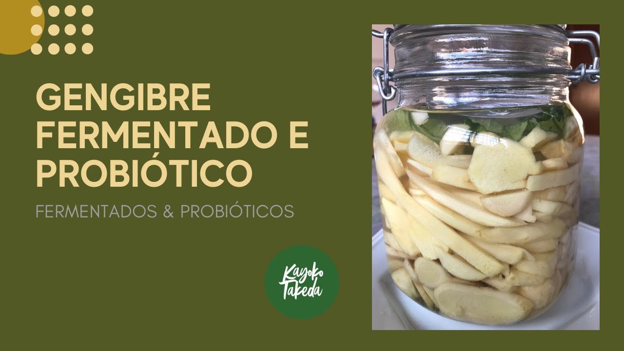 GENGIBRE FERMENTADO E PROBIÓTICO, COMO FAZER - ALIMENTO FERMENTADO E PROBIÓTICO