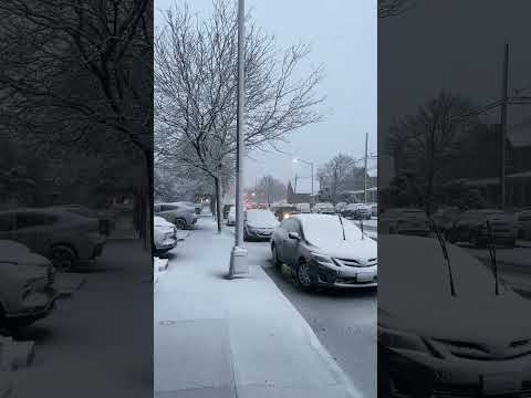 NYC Blizzard Walk ❄️ Snowstorm