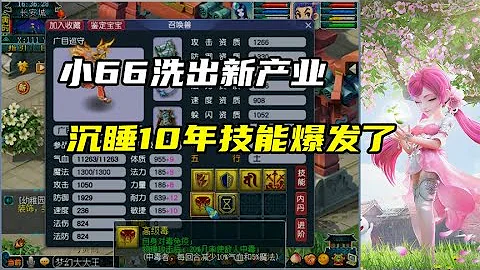 梦幻西游：小66洗出新产业，沉睡10年的技能爆发了 - 天天要闻