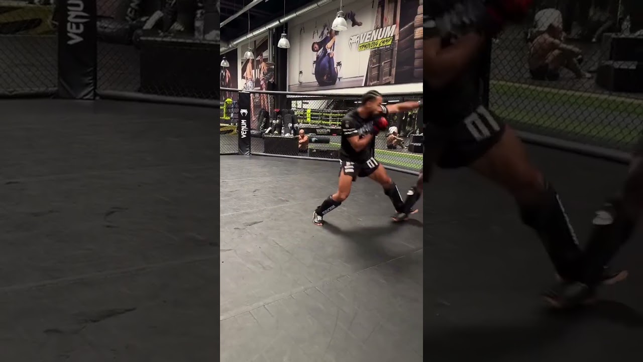 William Gomis et Alexis Nicolas 🥊