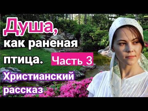 ОЧЕНЬ интересный рассказ - Душа как раненая птица.[христианский | рассказ]|(Анна Лукс) [часть3]2021.