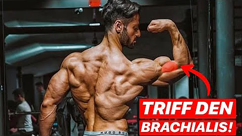 Welcher Muskel ist der Brachialis?